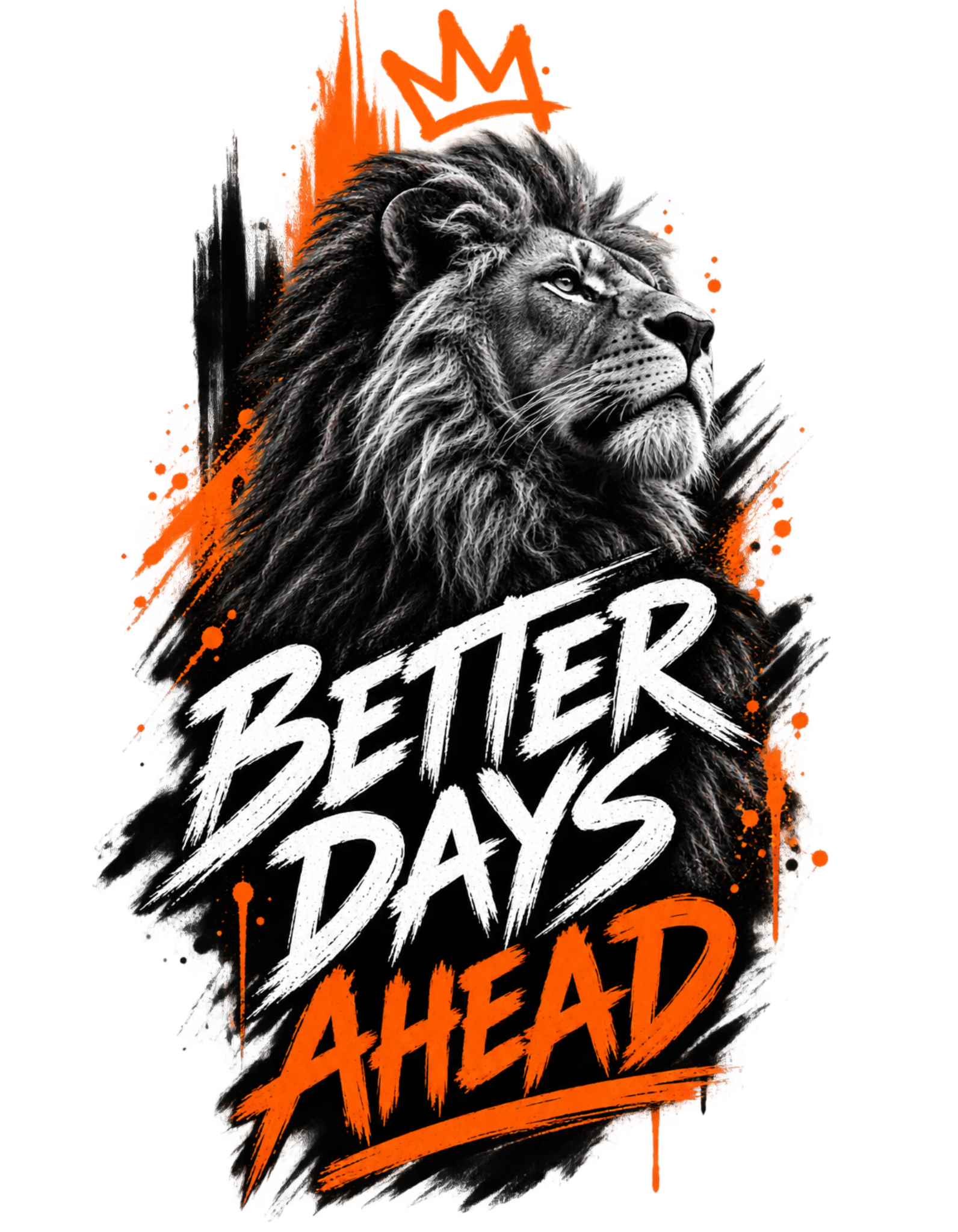 BETTER DAYS AHEAD — Lion