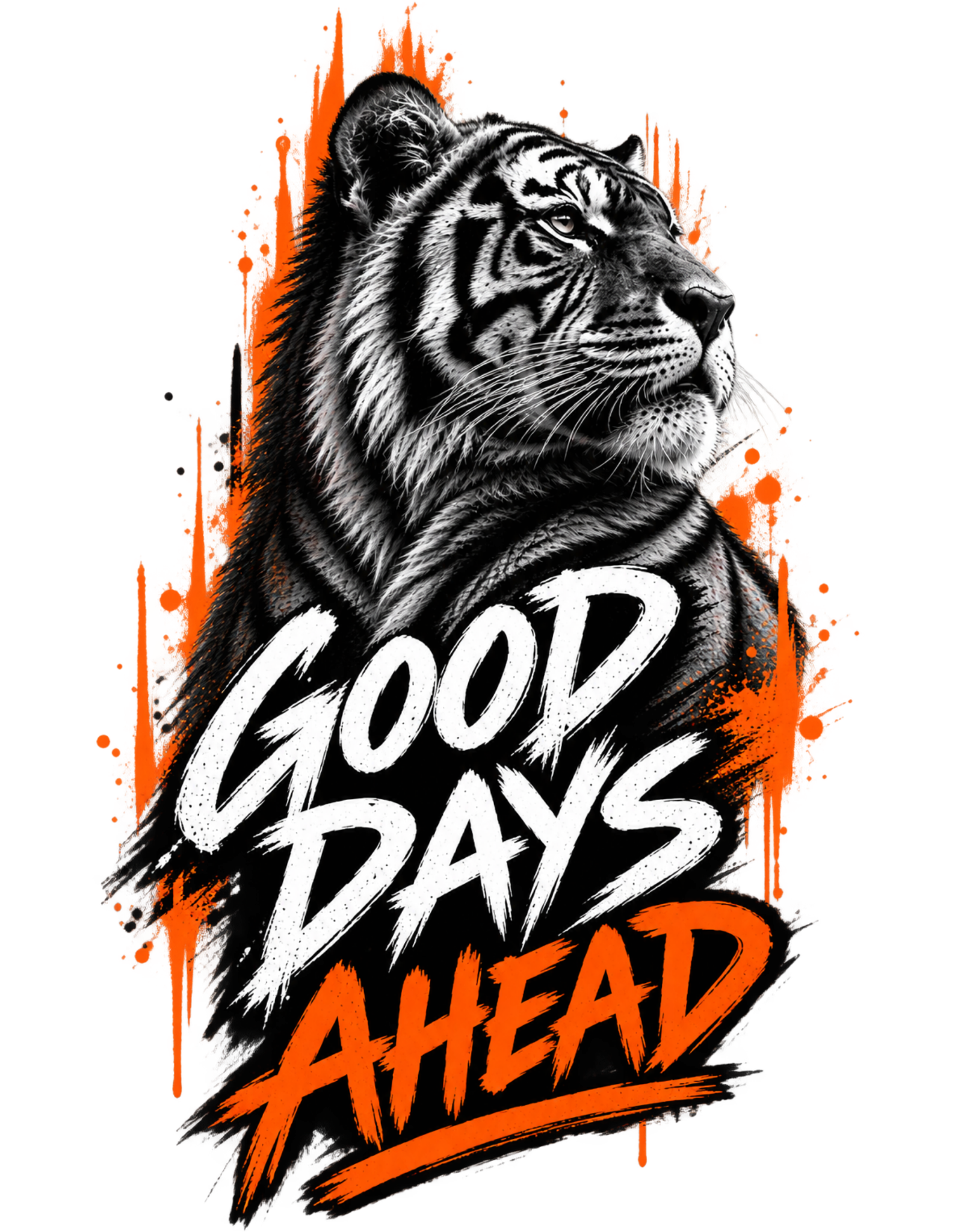 GOOD DAYS AHEAD — Tiger